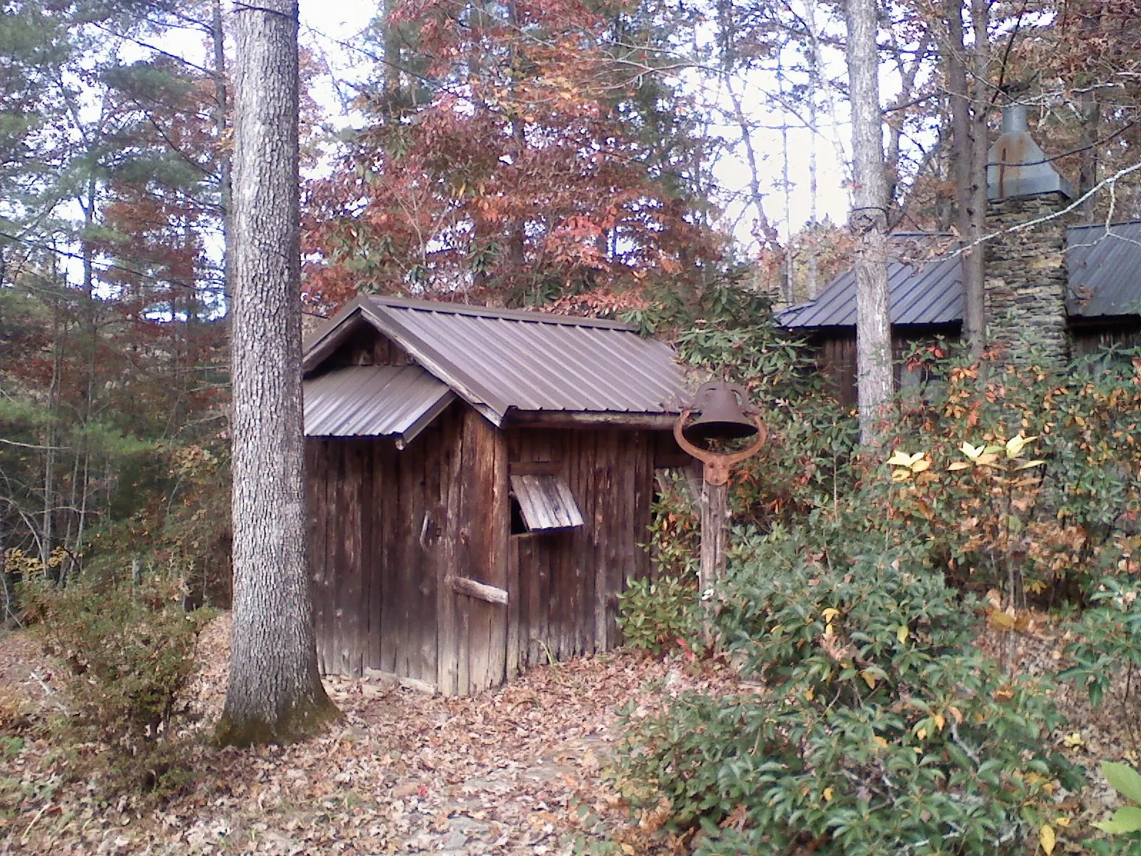 Small metal roof on a rough sawn shed in the woods in Port Jefferson
